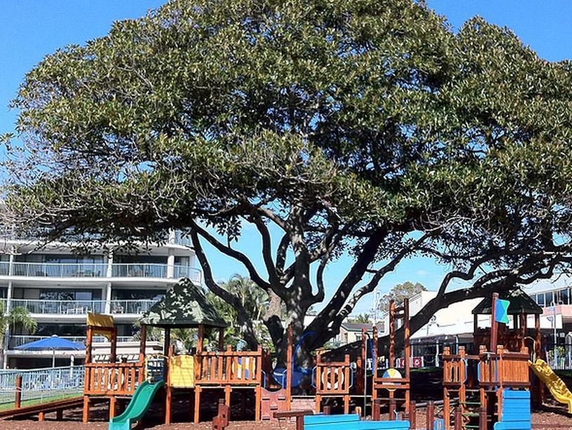 Moffat Beach Motel Caloundra Ngoại thất bức ảnh